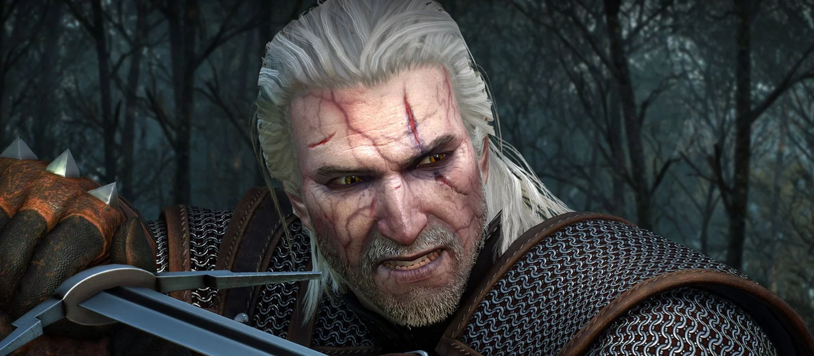 CD Projekt RED раскрыла, как ещё могла называться The Witcher 3: Wild Hunt