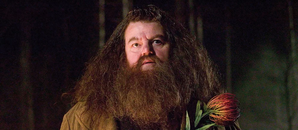 Актёр Хагрида в сериале «Гарри Поттер» заявил, что не будет копировать игру Робби Колтрейна