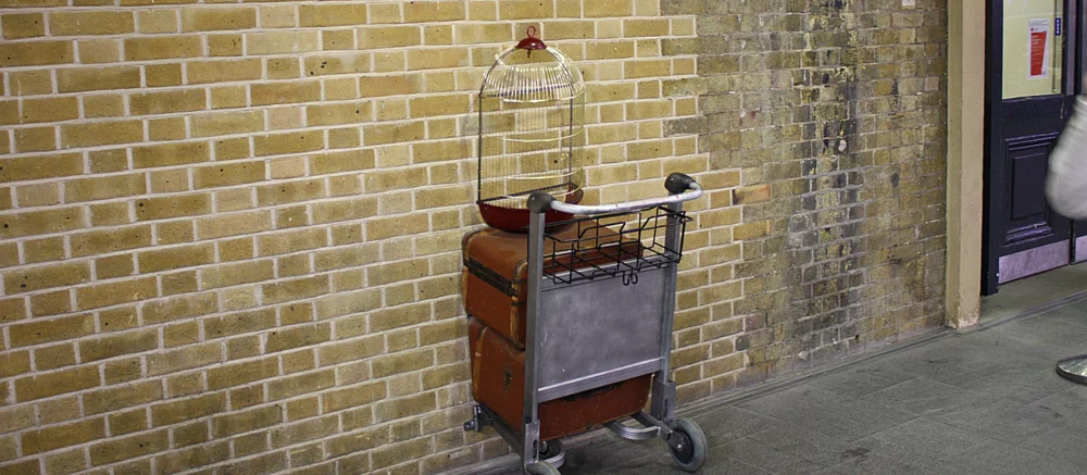 На новых фото со съёмок «Гарри Поттера» показали Рона, Джинни, Фреда, Джорджа и Молли Уизли