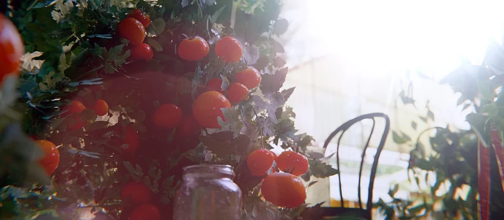 ARC Raiders готовит первое крупное обновление North Line: новая карта, события и угрозы