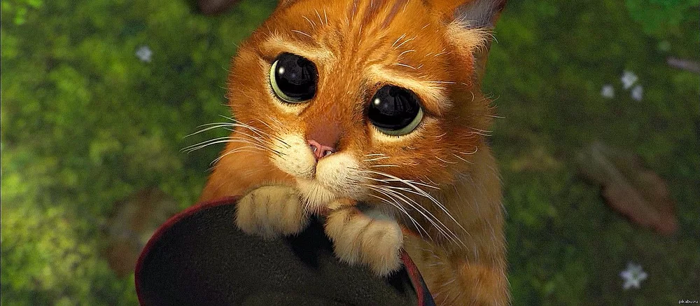 Слух: DreamWorks работает над мультфильмом «Кот в сапогах 3»