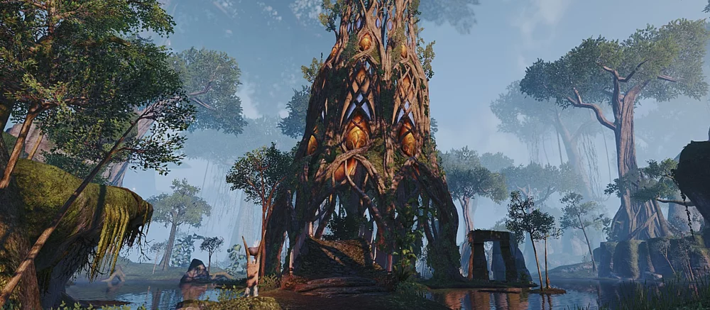 Новый намёк Тодда Говарда заставил фанатов думать, что TES 6 отправит игроков в Валенвуд