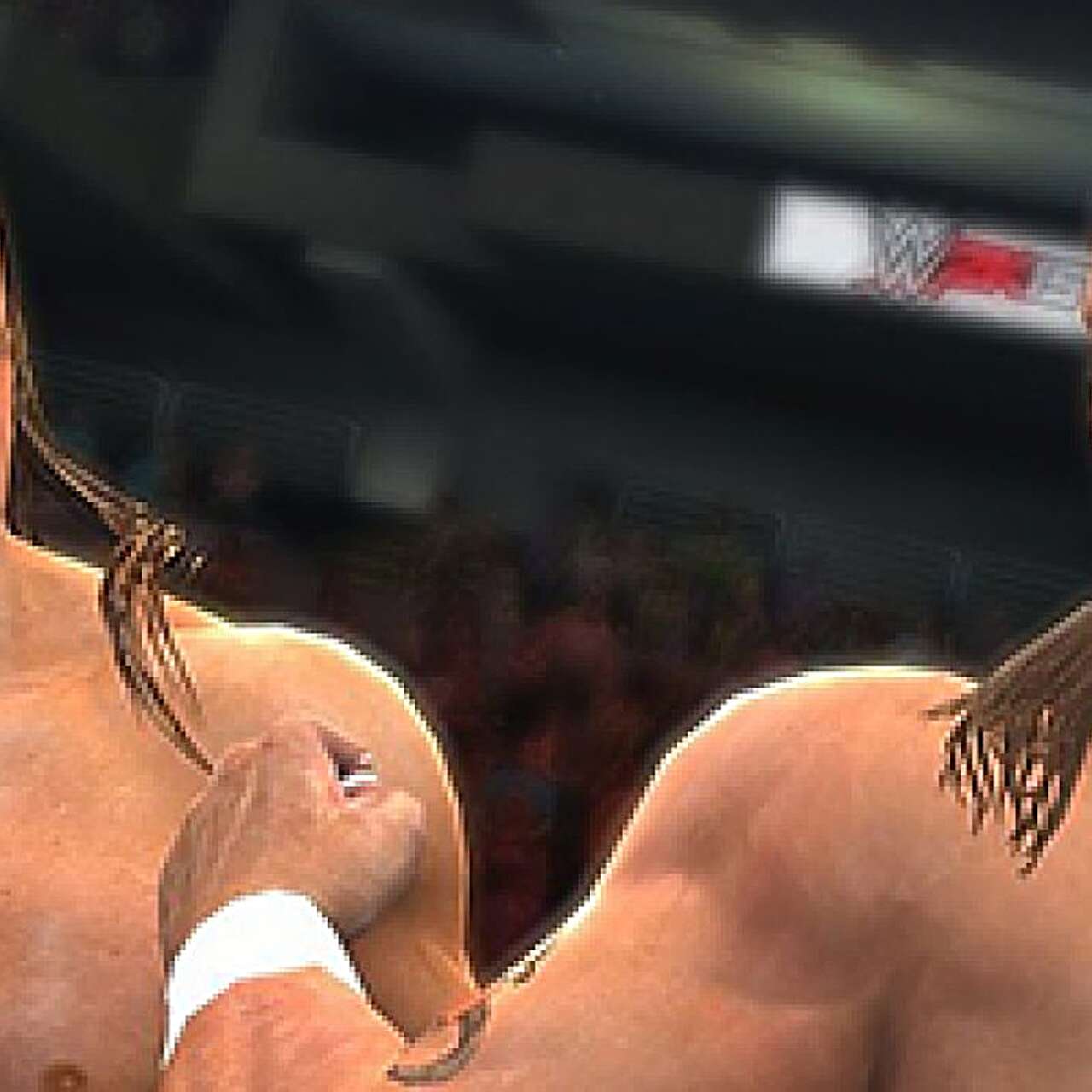   WWE 2K15  StopGame