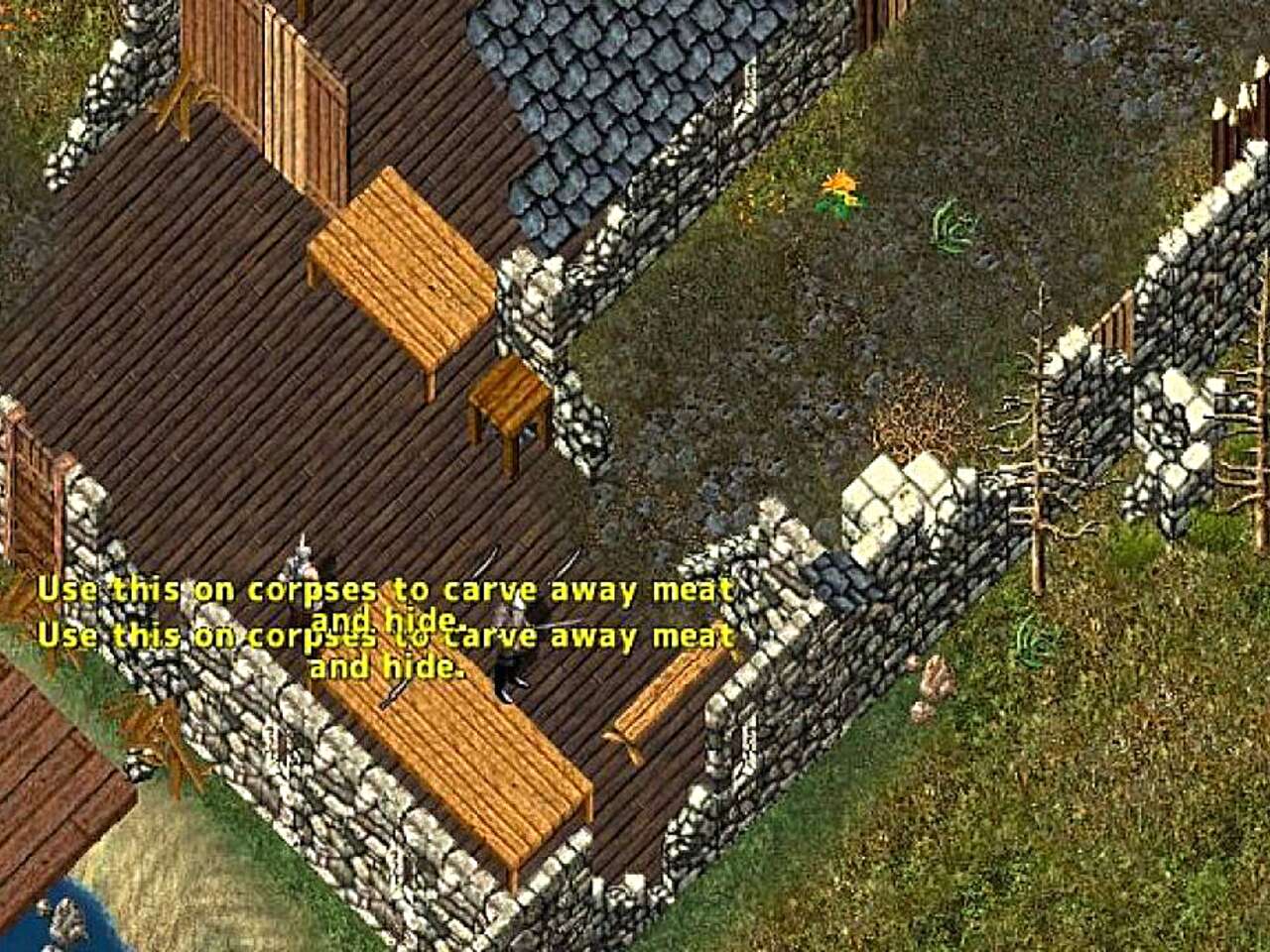 Разработчики Ultima Online не будут запускать ванильный сервер