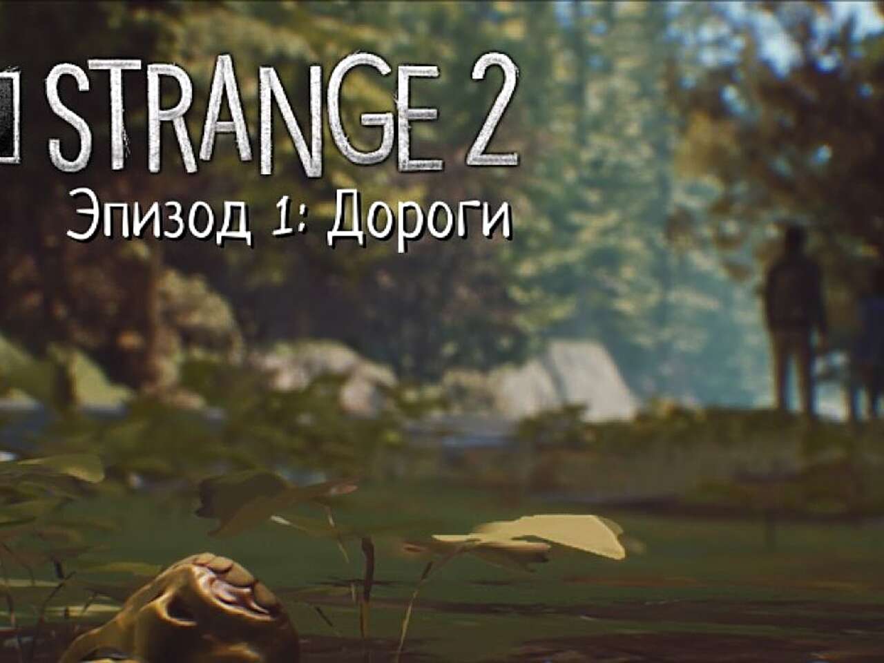 Все достижения и коллекционные предметы в «Life is Strange 2. Эпизод 1:  Дороги»