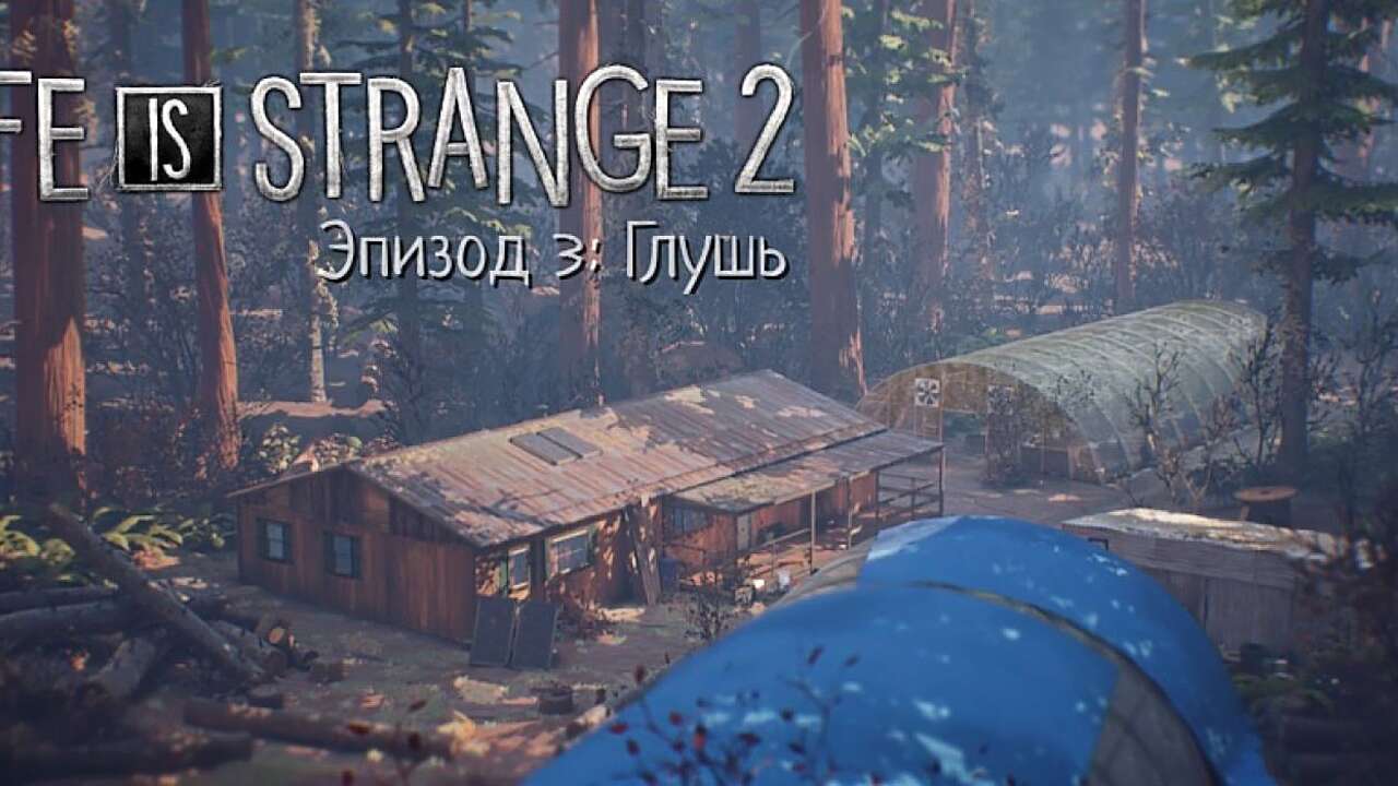 Все достижения и коллекционные предметы в «Life is Strange 2. Эпизод 3:  Глушь»