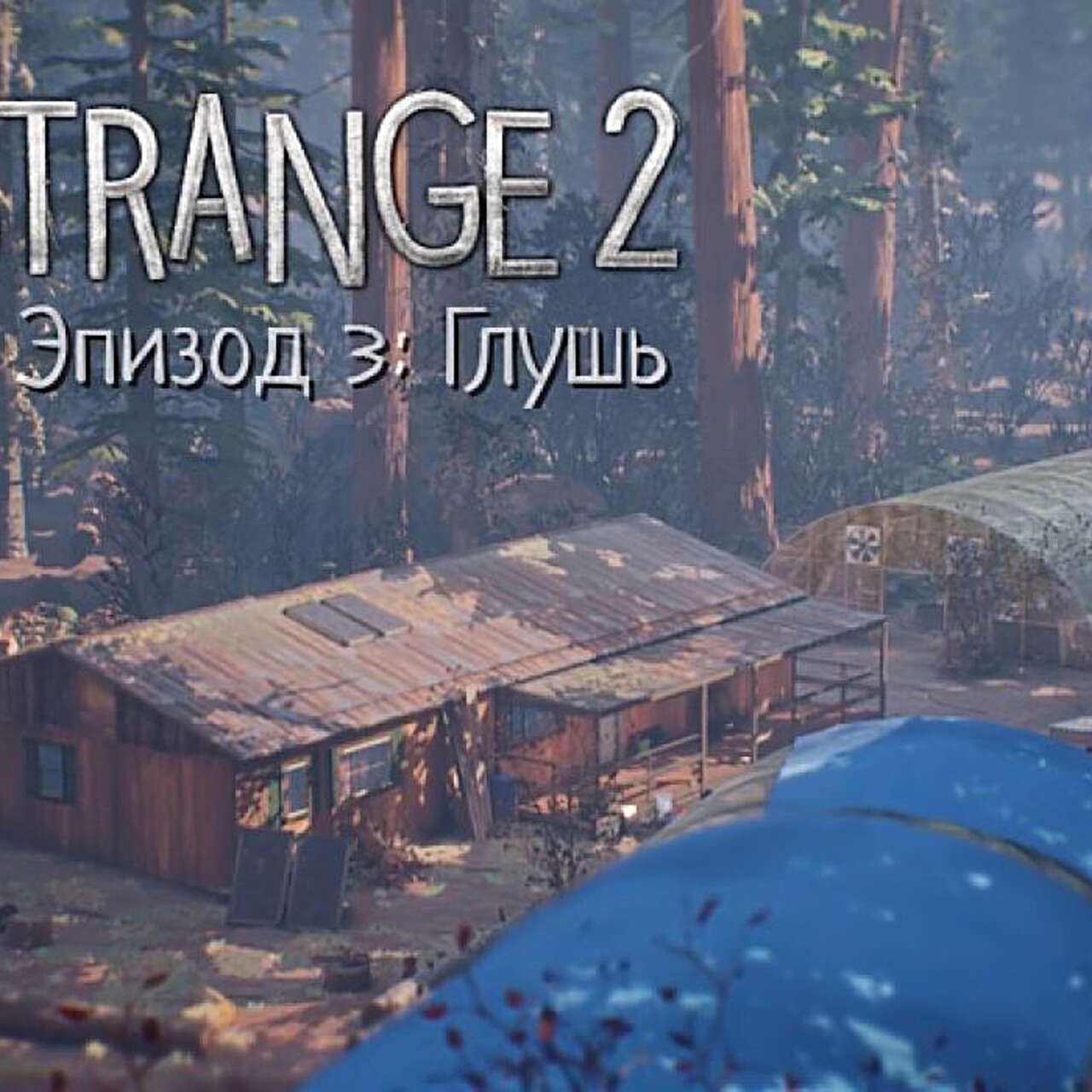 Все достижения и коллекционные предметы в «Life is Strange 2. Эпизод 3:  Глушь»