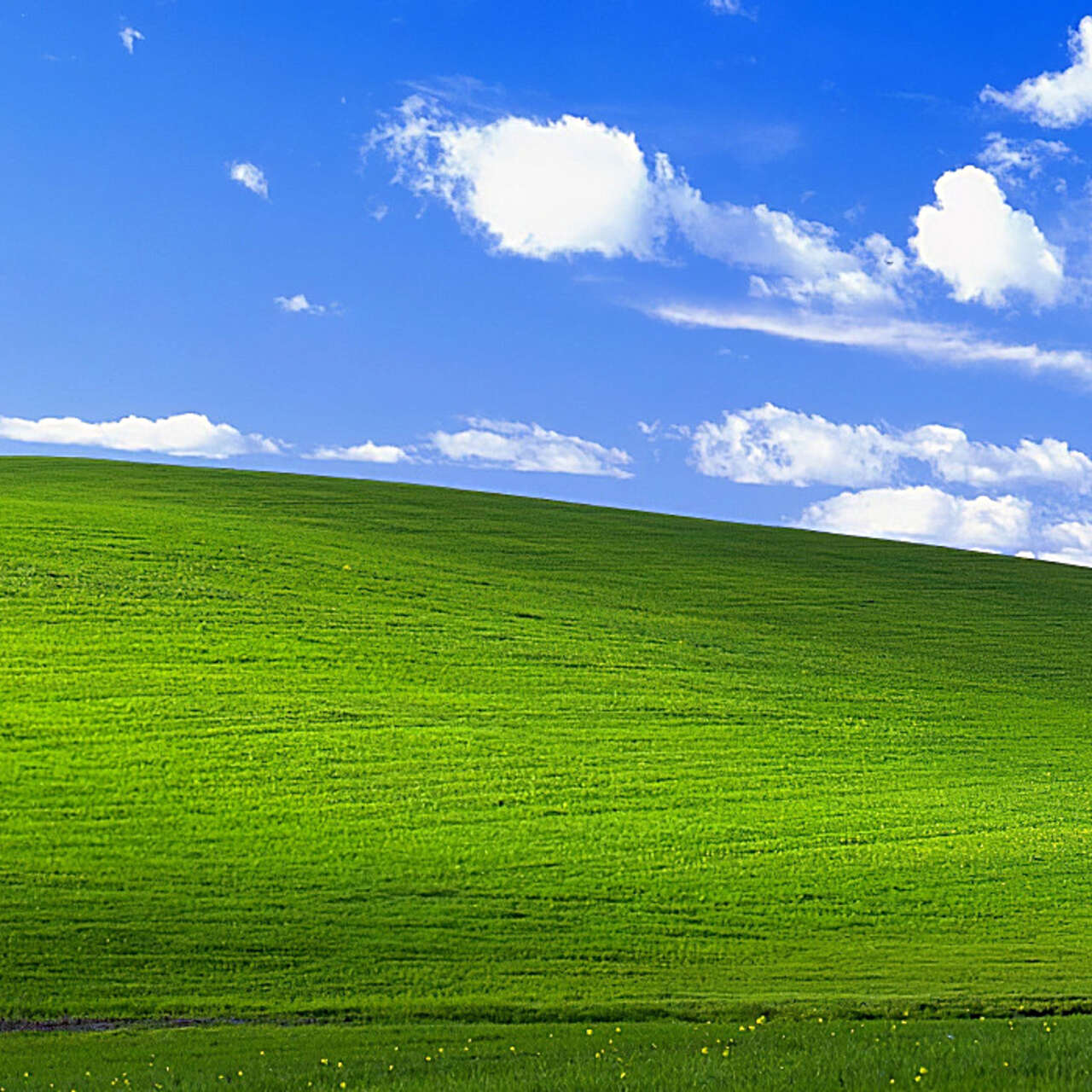 Microsoft показала ретрообои в стиле Windows XP. Их можно скачать бесплатно