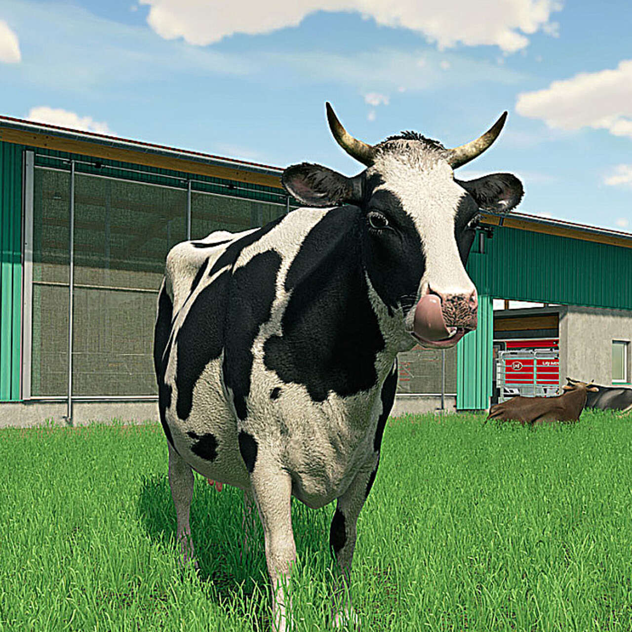 Как сделать стойло для коровы в частном подворье?
