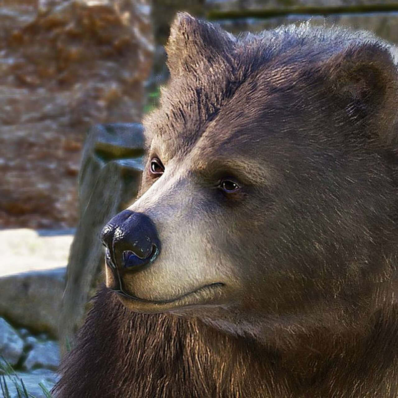 секс с медведем в лесу