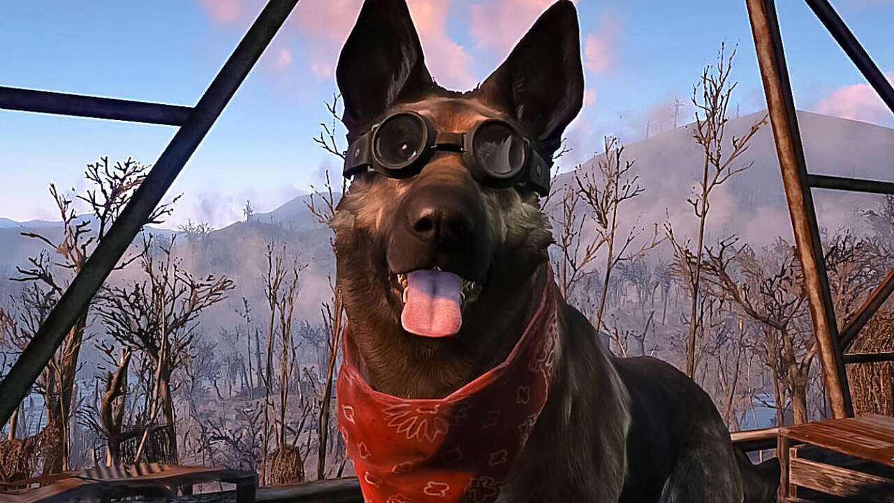 Игрок нашел в Fallout 4 говорящую собаку. Все из-за забавного бага