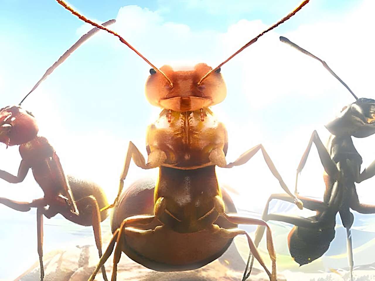 Коды для Ant Legion (июнь 2024)