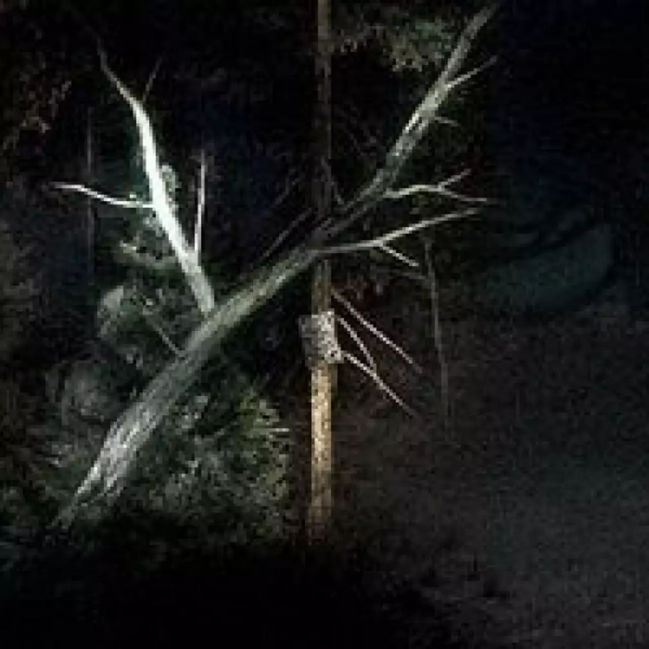 Ужастик Slender: The Arrival поступил в продажу Ужастик Slender: The Arrival поступил в продажу
