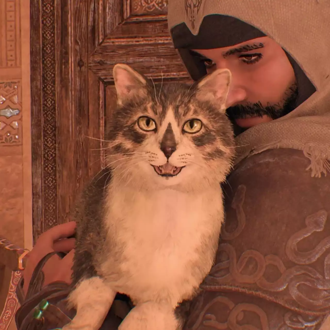 В Assassin's Creed Mirage нашли реальных котиков — у одного из них есть логотип на мордочке