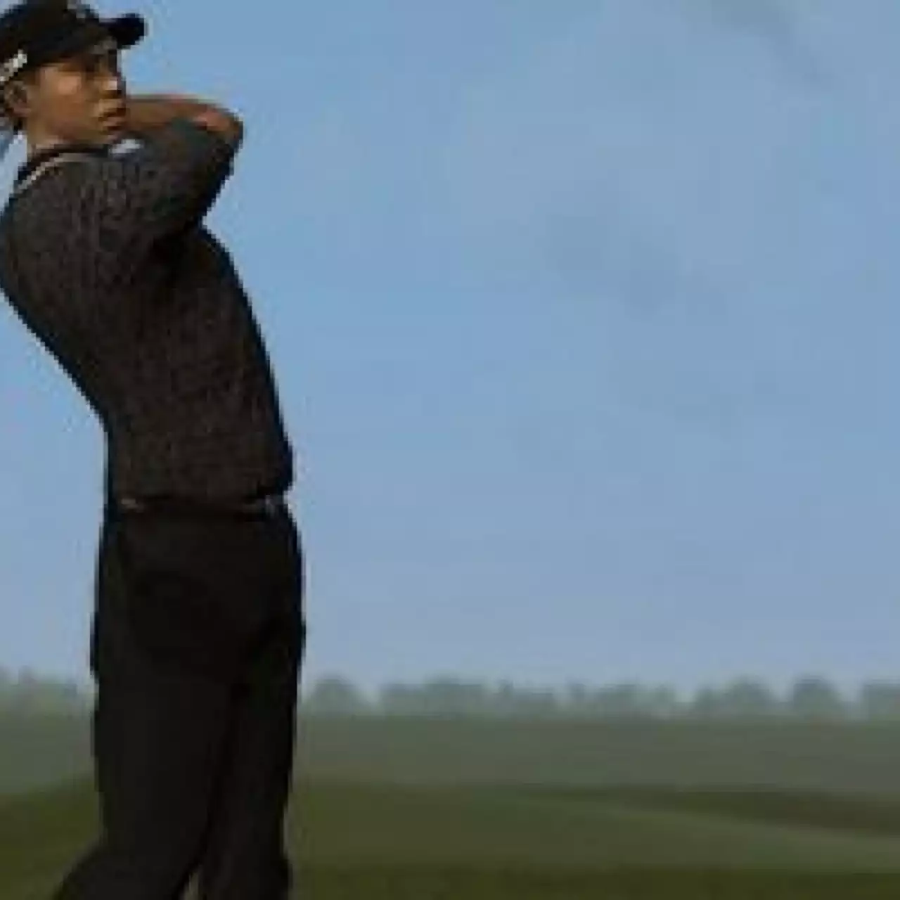 Серия Tiger Woods PGA Tour находилась на грани закрытия