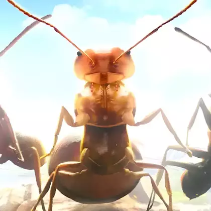 Коды для Ant Legion (август 2025)