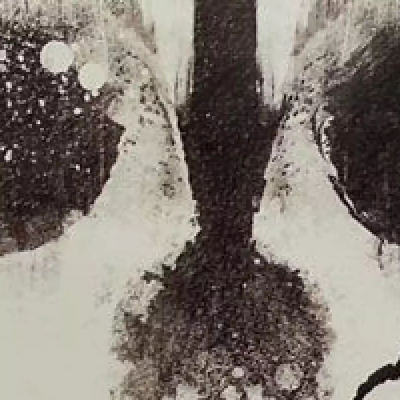 Официальные постеры Call of Duty: Ghosts попали в сеть Официальные постеры Call of Duty: Ghosts попали в сеть