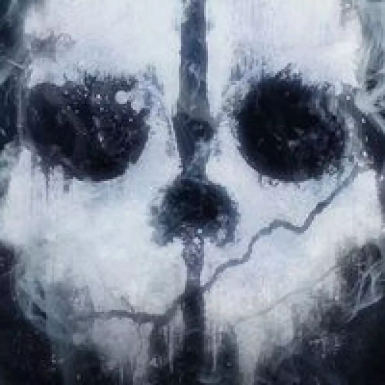 Камуфляж оружия из Call of Duty: Ghosts появится в Black Ops 2 Камуфляж оружия из Call of Duty: Ghosts появится в Black Ops 2