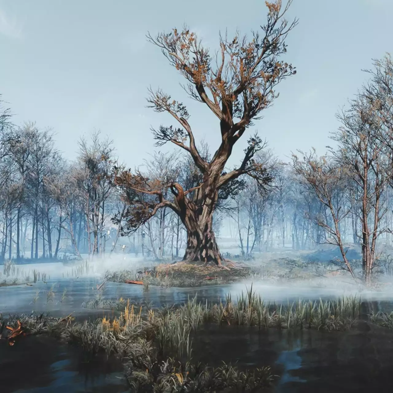 «Великолепные снимки» — парень впечатлил CD Projekt RED мрачными фотографиями, которые он сделал в The Witcher 3 «Великолепные снимки» — парень впечатлил CD Projekt RED мрачными фотографиями, которые он сделал в The Witcher 3