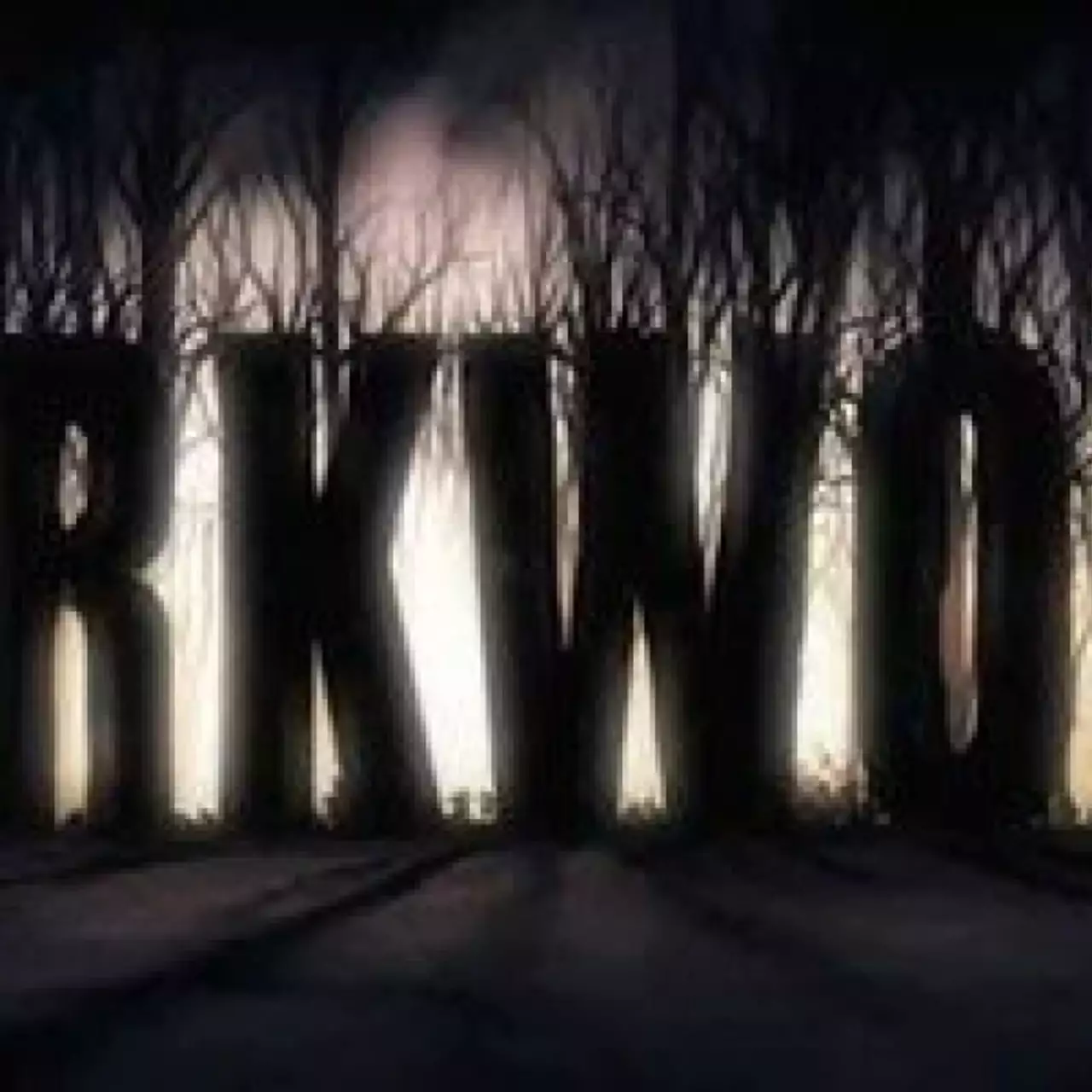 Геймплейный трейлер Darkwood показал, что хоррор с видом сверху может пугать Геймплейный трейлер Darkwood показал, что хоррор с видом сверху может пугать