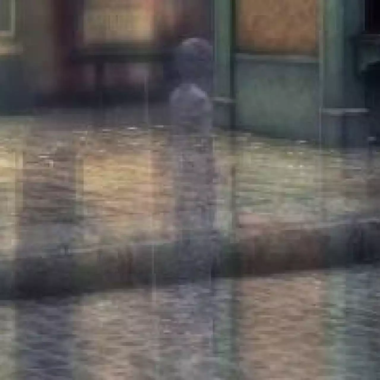 В новом трейлере Rain показали гуляющих привидений В новом трейлере Rain показали гуляющих привидений