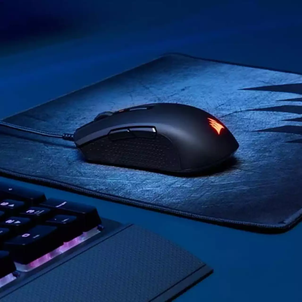 Corsair выпустила самые доступные игровые мыши M55 и M55 Wireless Corsair выпустила самые доступные игровые мыши M55 и M55 Wireless