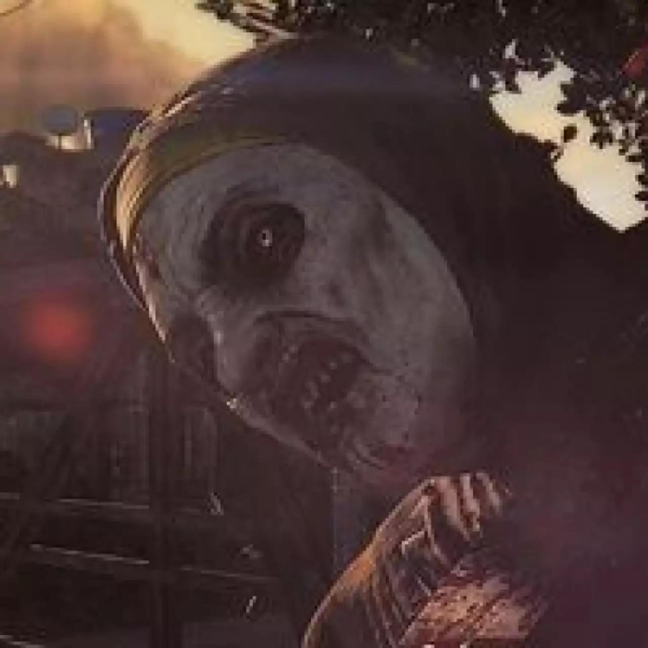 Дебютный трейлер Dying Light предоставил первый взгляд на игру