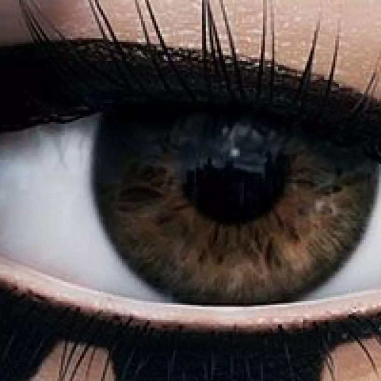 Mirror's Edge 2 будет сильно отличаться от первой части
