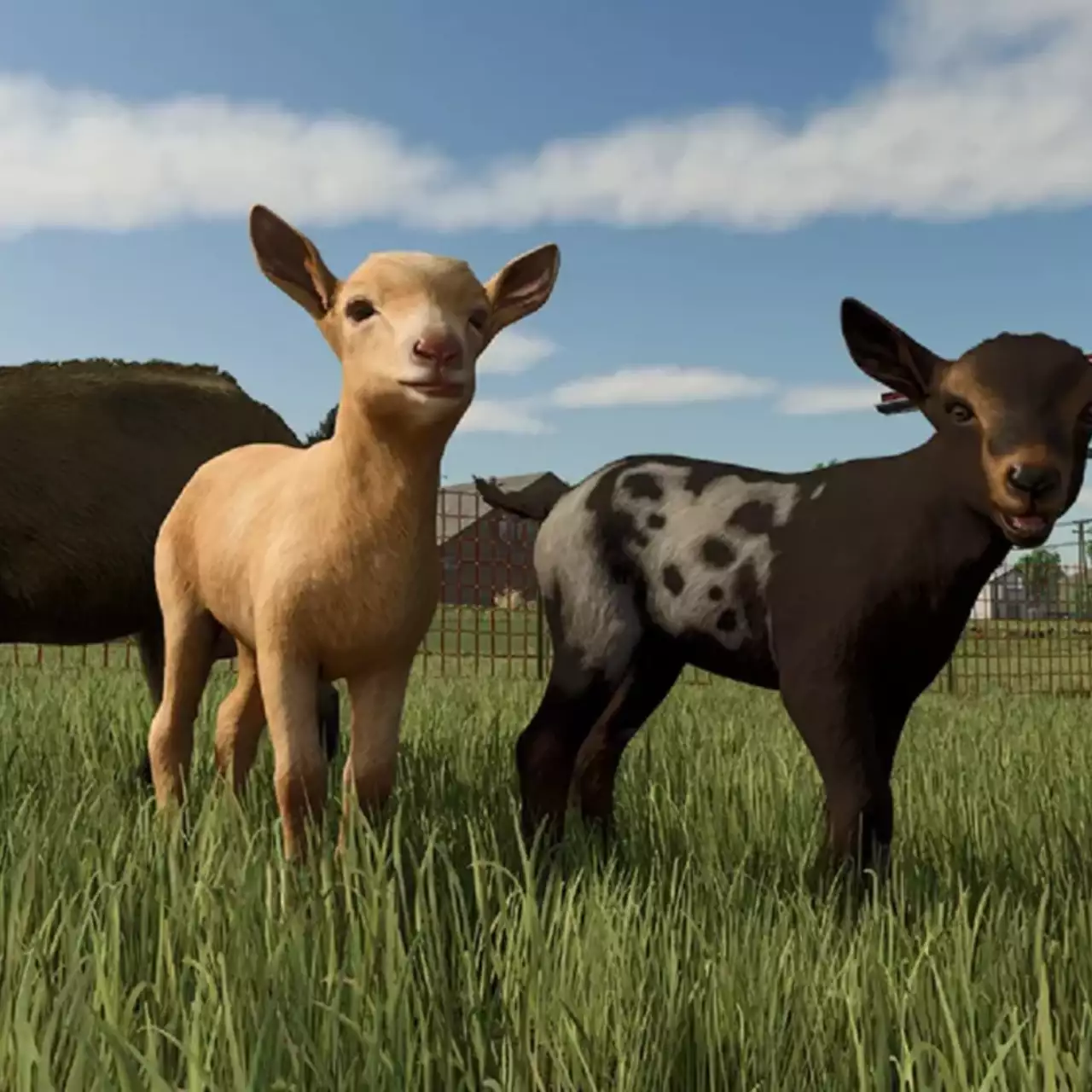 Как разводить коз в Farming Simulator 25: гайд по уходу и получению прибыли Как разводить коз в Farming Simulator 25: гайд по уходу и получению прибыли