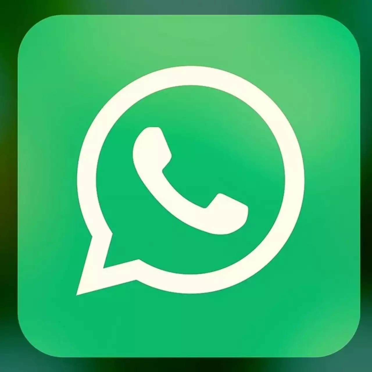 В Госдуме прокомментировали вероятность блокировки WhatsApp В Госдуме прокомментировали вероятность блокировки WhatsApp