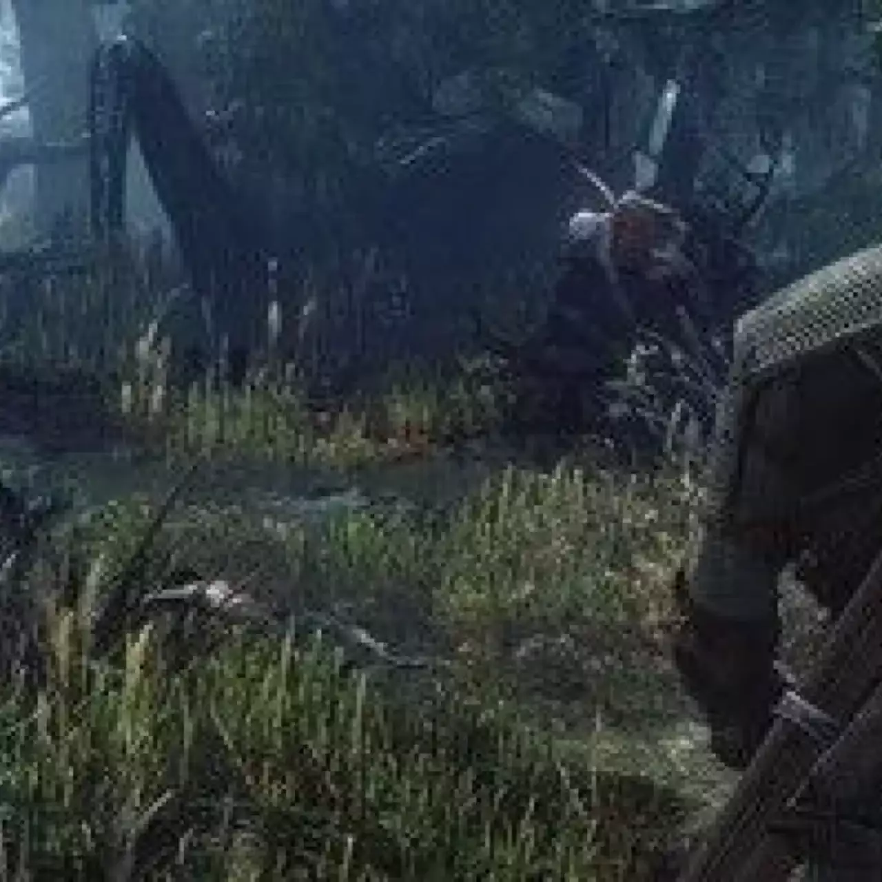 Авторы Witcher 3: Wild Hunt ненавидят дополнения