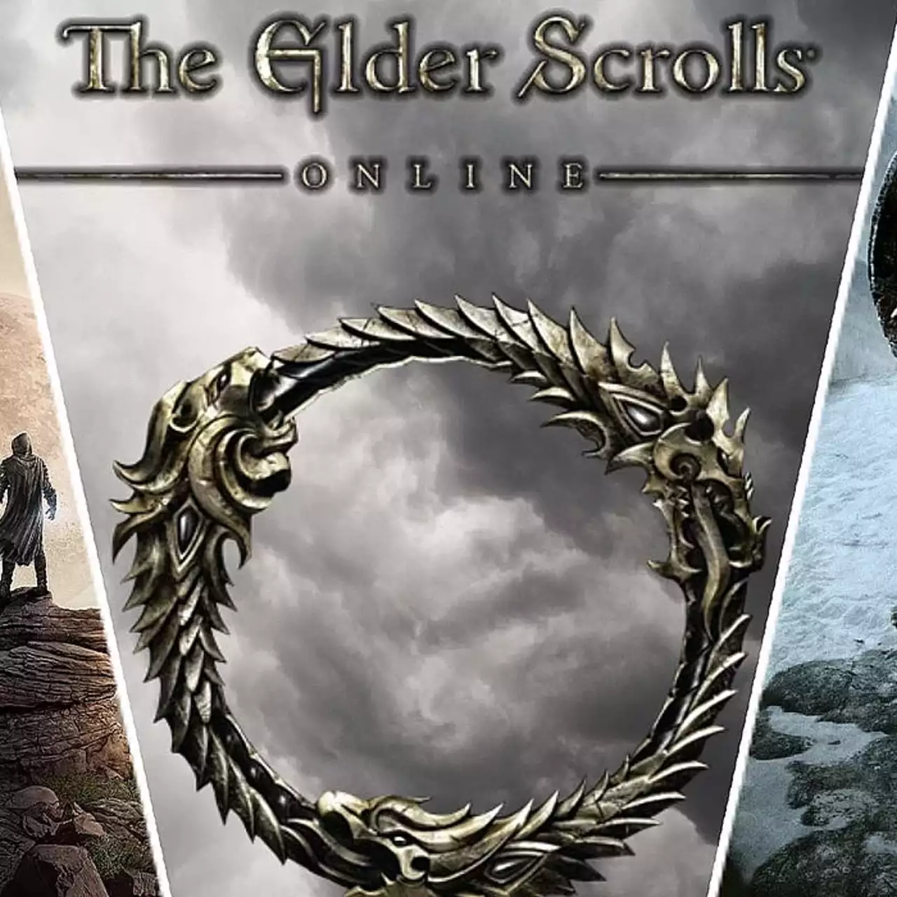Bethesda продаёт кусочки серверов ESO: фанаты смогут купить «историю» за $110 Bethesda продаёт кусочки серверов ESO: фанаты смогут купить «историю» за $110