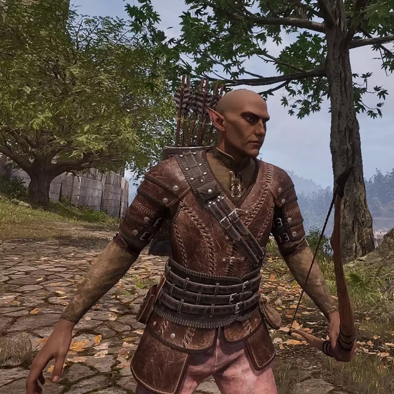 Где найти и купить отмычки в The Elder Scrolls 4: Oblivion Remastered