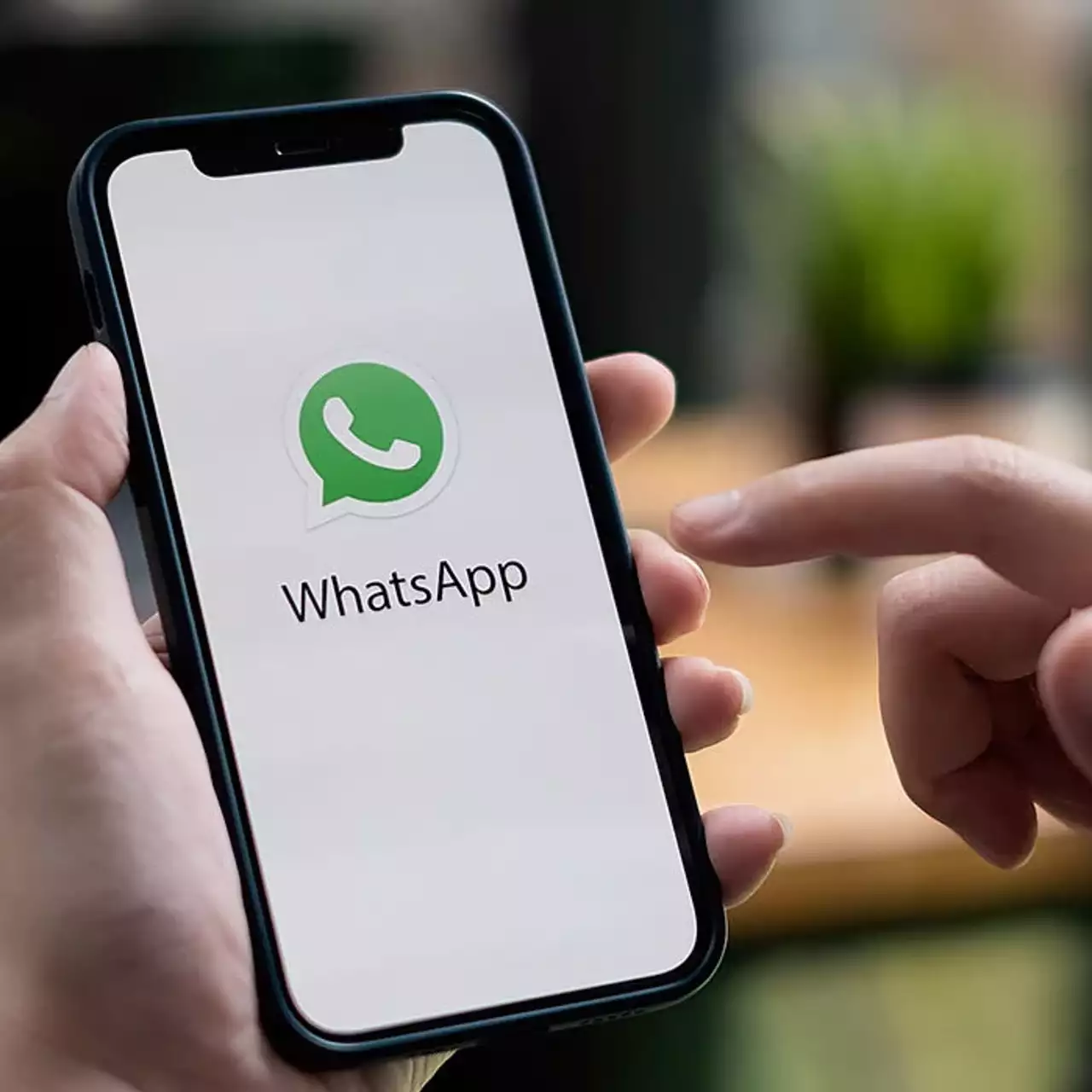 WhatsApp готовит обновление для веб-версии WhatsApp готовит обновление для веб-версии