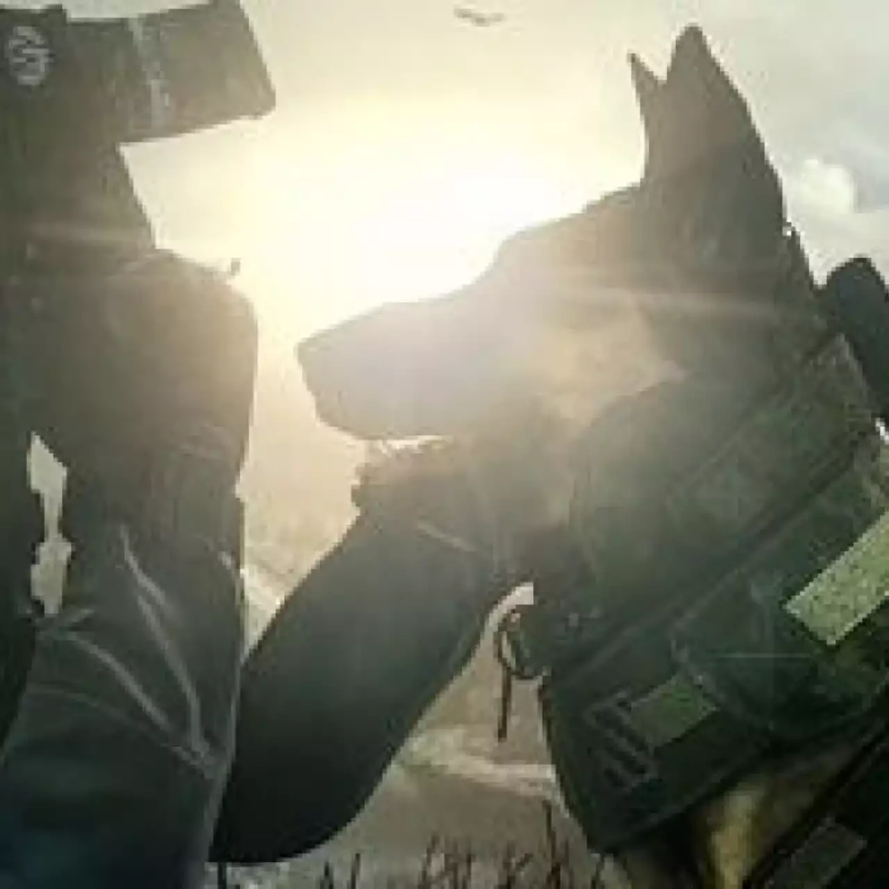 Activison будет выпускать Call of Duty ежегодно Activison будет выпускать Call of Duty ежегодно