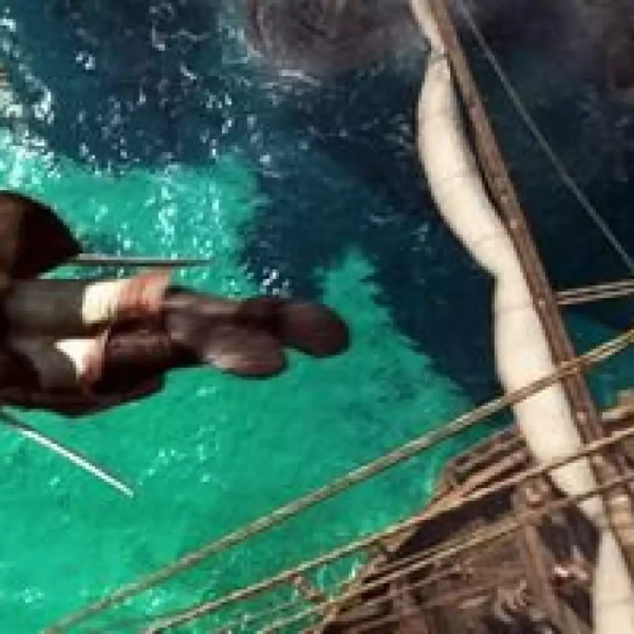 Возможность улучшать корабли в Assassin's Creed 4: Black Flag сделает вас грозой Карибов
