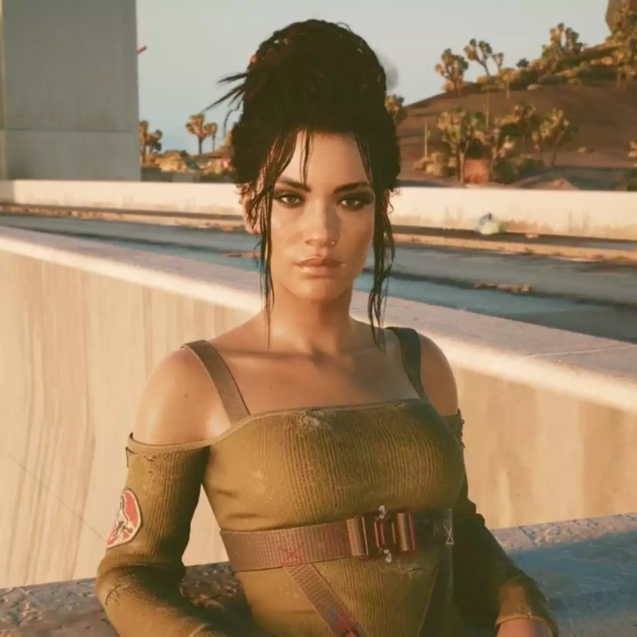 Игрок случайно «убил» Панам, пытаясь сделать красивый кадр в Cyberpunk 2077 Игрок случайно «убил» Панам, пытаясь сделать красивый кадр в Cyberpunk 2077