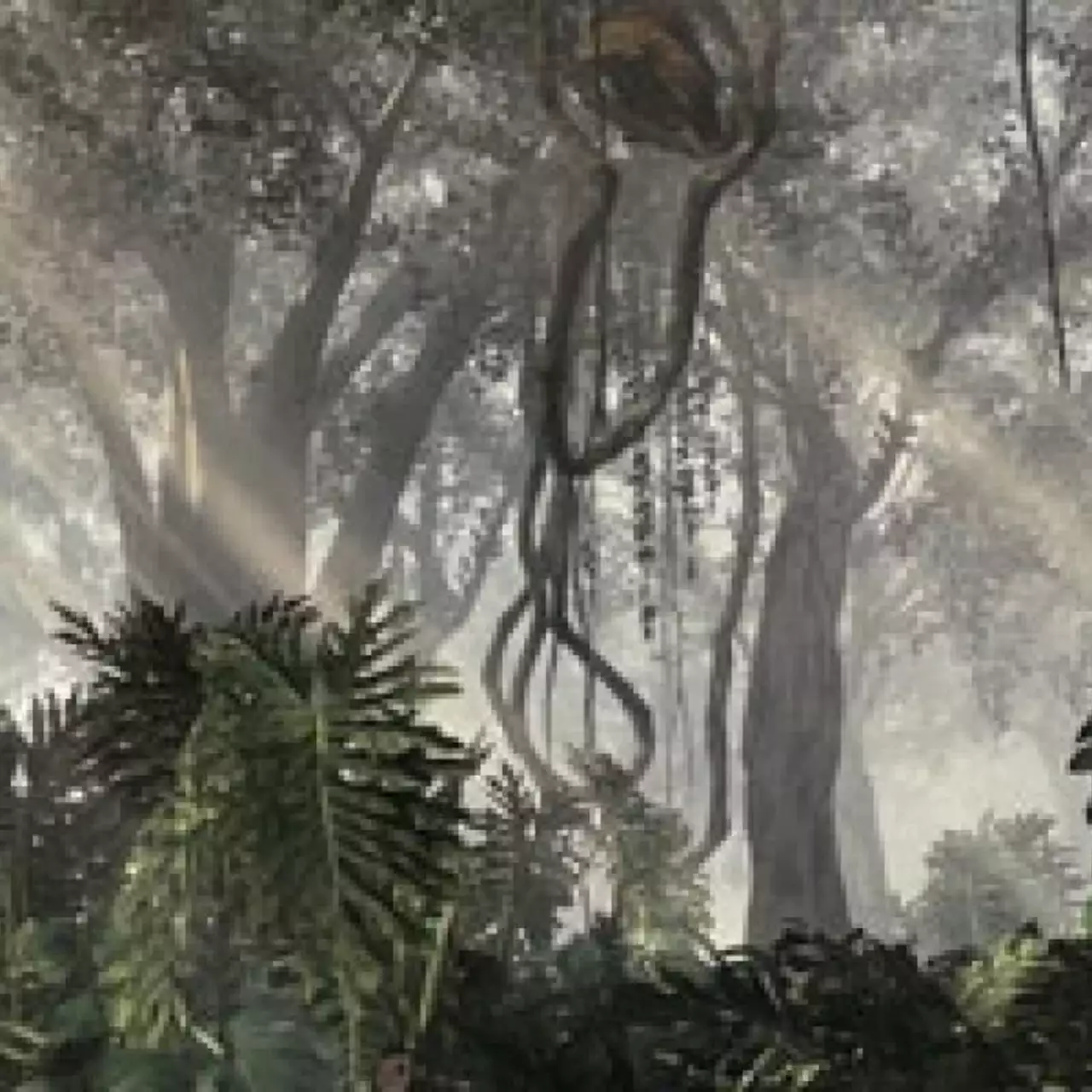 Call of Duty: Ghosts не сможет в полной мере использовать возможности Kinect Call of Duty: Ghosts не сможет в полной мере использовать возможности Kinect
