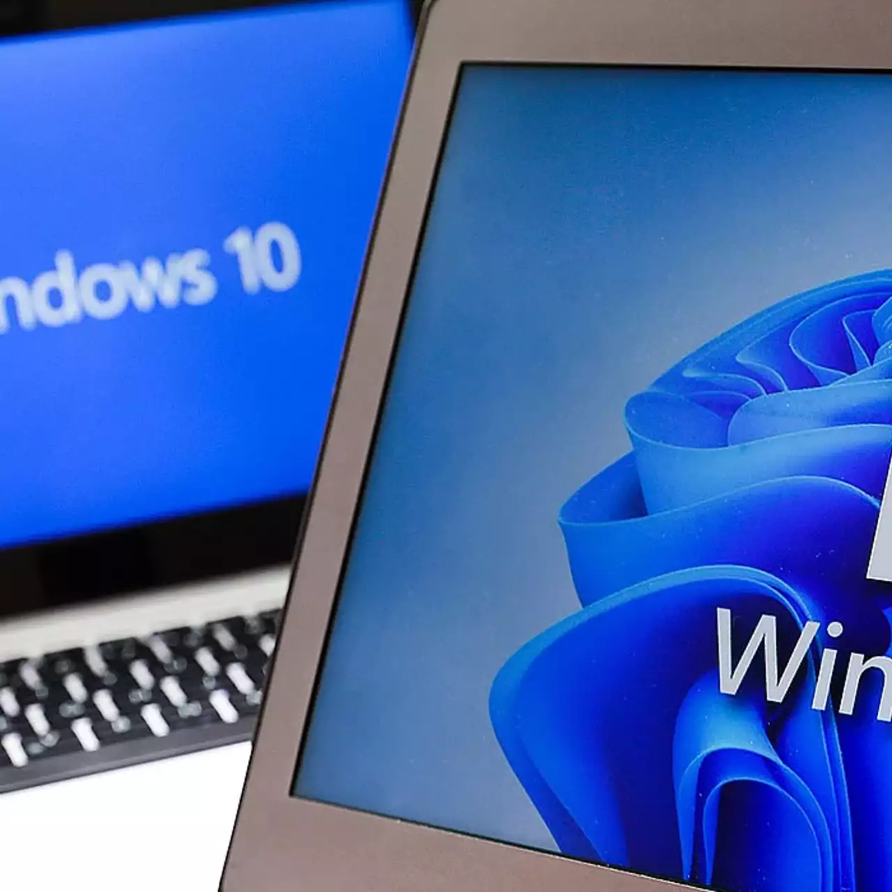 Windows 11 обгоняет «десятку» в играх и ИИ, несмотря на отставание в синтетике Windows 11 обгоняет «десятку» в играх и ИИ, несмотря на отставание в синтетике
