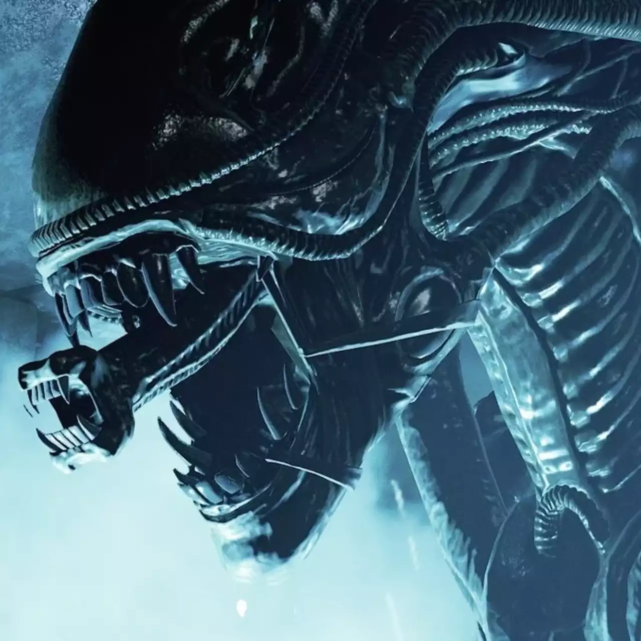Новая игра про Чужих Aliens: Fireteam Elite 2 получила возрастной рейтинг — но официально проект пока не анонсировали