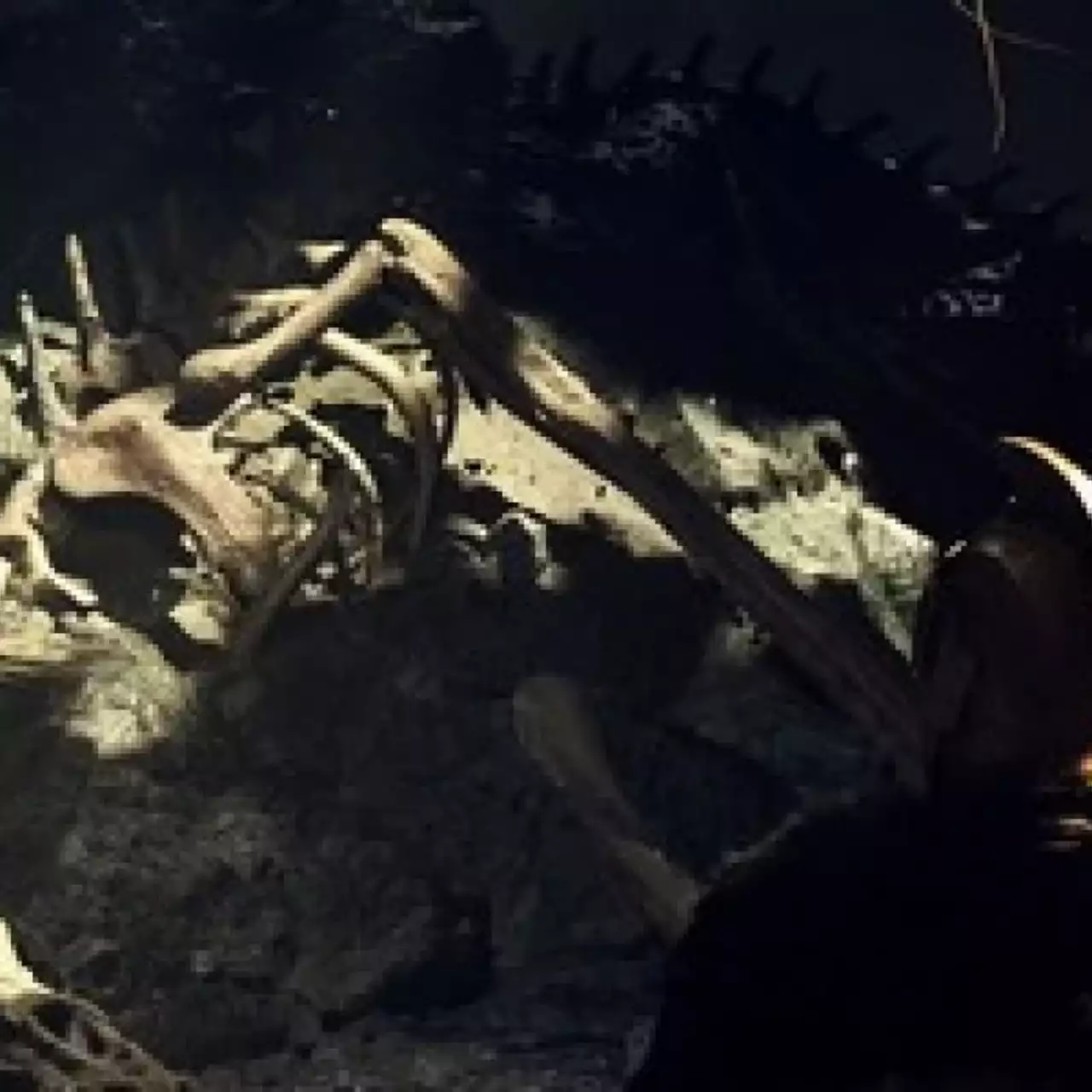From Software: «Сложность в Dark Souls 2 — это вызов для игроков» From Software: «Сложность в Dark Souls 2 — это вызов для игроков»