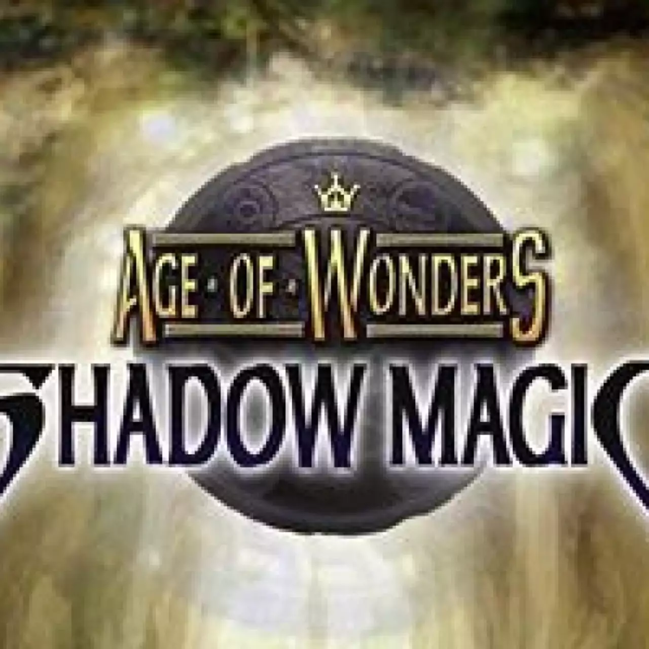 Коды на Age of Wonders: Shadow Magic