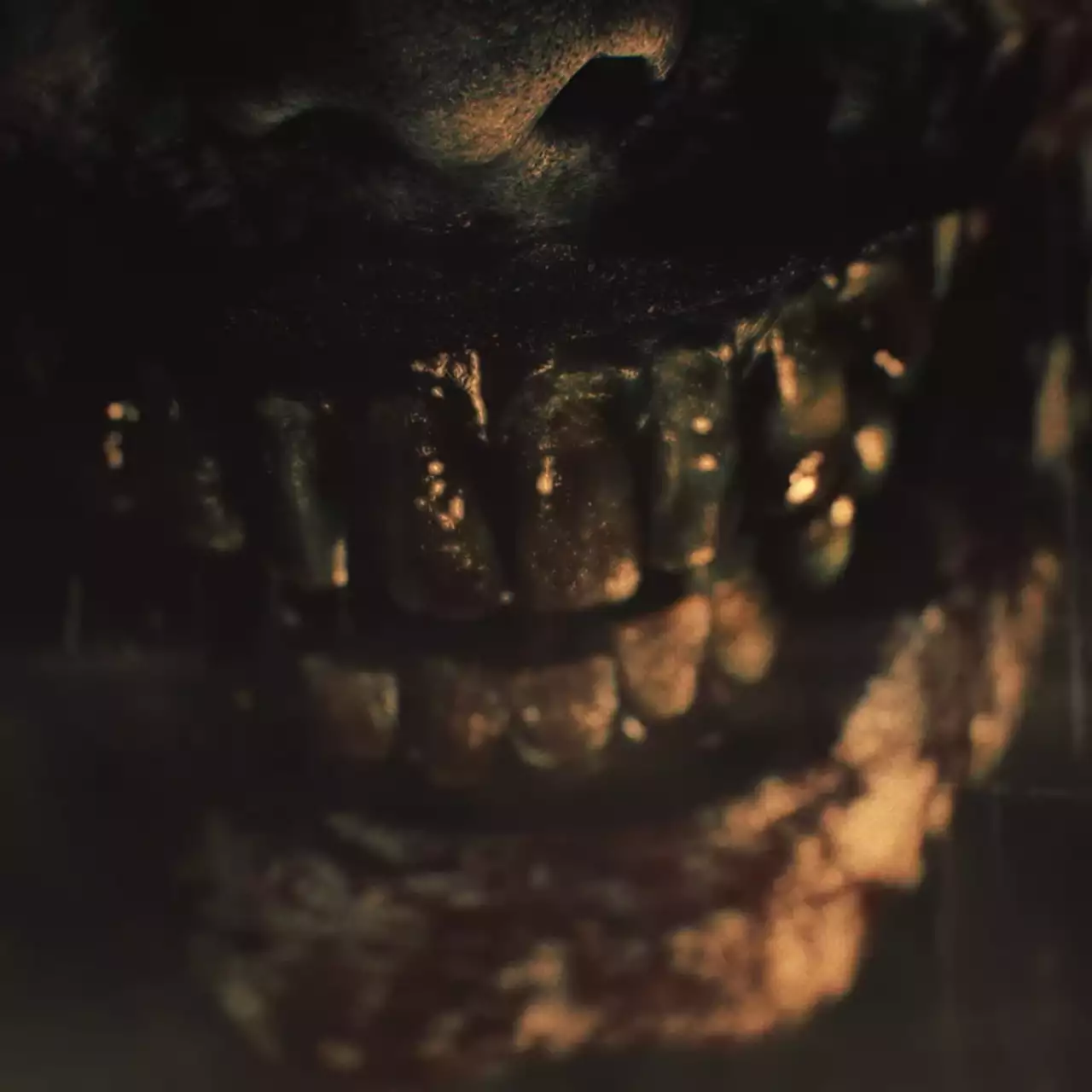 Слух: в сеть утекли обложка и содержимое Deluxe-издания Resident Evil Requiem