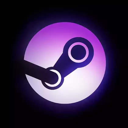 Millennium для Steam: кастомизация клиента