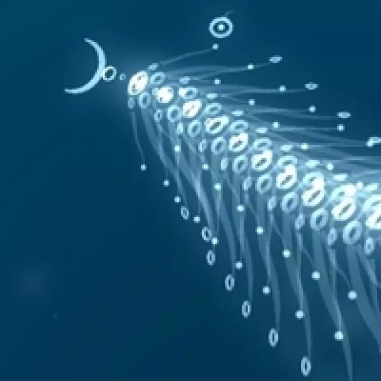 В Flower, flOw, Escape Plan и Sound Shapes появится система Cross-Buy В Flower, flOw, Escape Plan и Sound Shapes появится система Cross-Buy