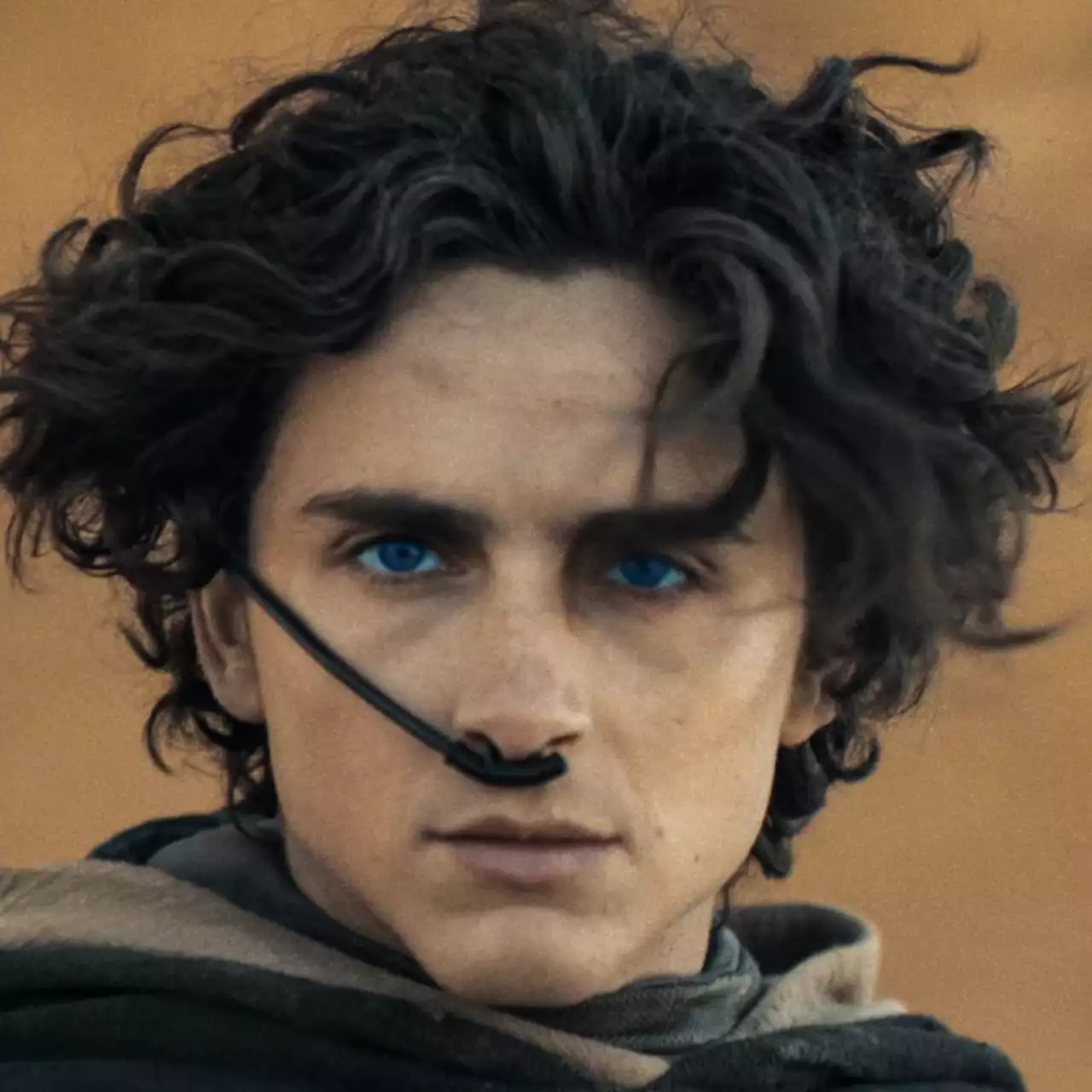 Тимоти Шаламе завершил съёмки «Дюны 3» — премьера в конце 2026 года