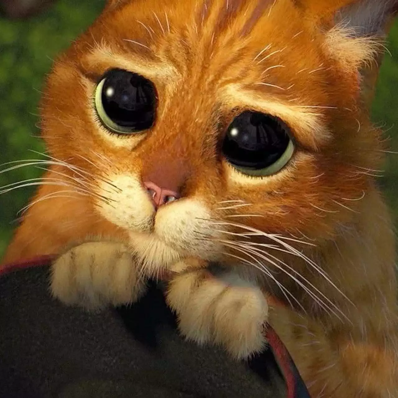 Слух: DreamWorks работает над мультфильмом «Кот в сапогах 3»