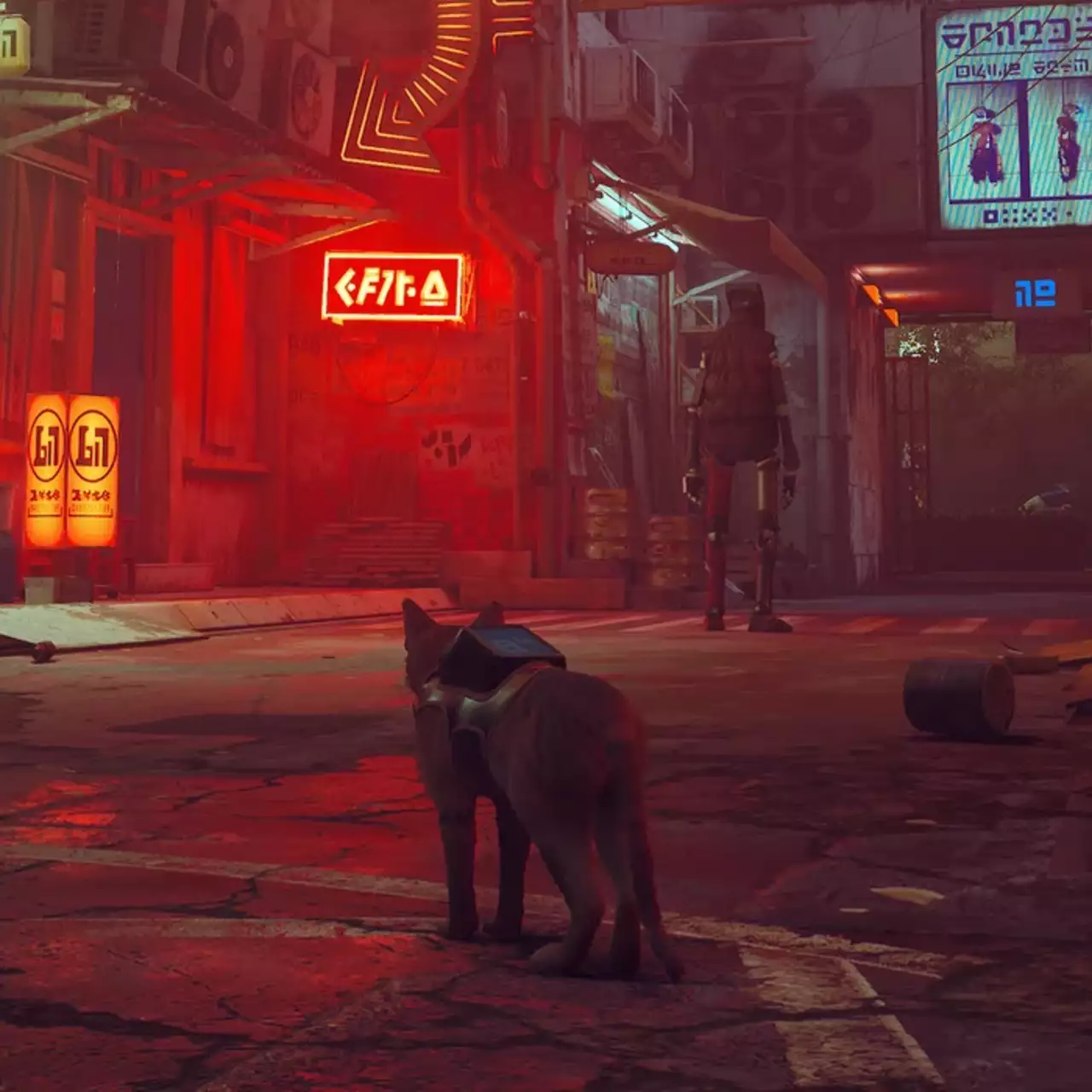 Создатели коллекционных изданий подали в суд на издателя Stray — требуют $4 миллиона компенсации