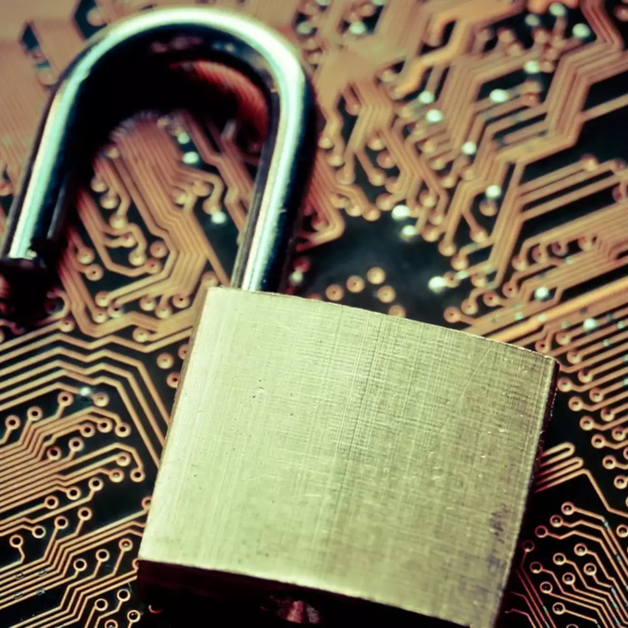 В 2025 году в сеть утекло более 760 млн записей данных россиян