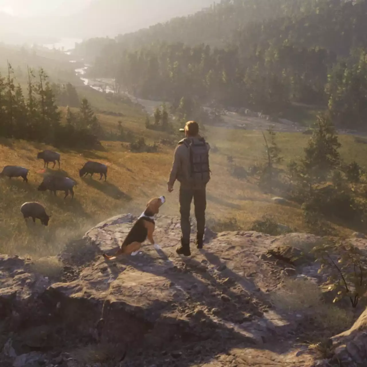 Разработчики Way of the Hunter анонсировали охотничий симулятор с открытым миром Next Hunting Adventure